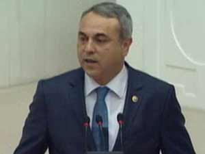 Dedeoğlu, Orman Yangınını Meclise Taşıdı