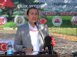 Çiftçinin Emeği, Göksunun Çileği