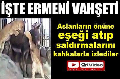  İşte Ermeni Vahşeti!