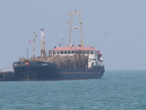 Ordu’nun İhracatı İthalatı 5’e Katladı