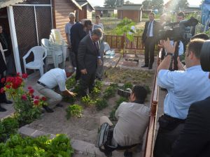 Cumhurbaşkanı Gül, Hobi Bahçesinde Çilek Yedi