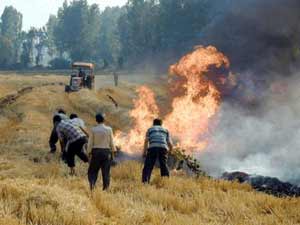 Anız Yangınlarıyla Mücadele