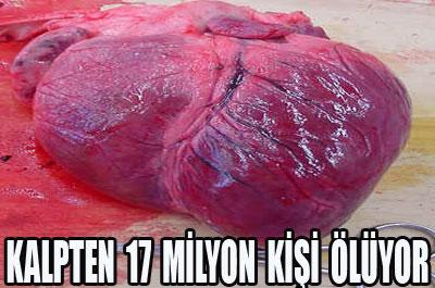 Kalpten 17 Milyon Kişi Ölüyor