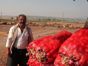 Soğan Üreticisini Üzdü