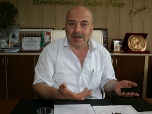 Fındıkta Böcek Tehlikesi