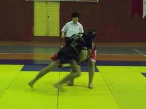 Wushu Müsabakaları Yapıldı