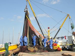 Balıkçılar Danışma Kurulunda Mevzuatı Tartıştı