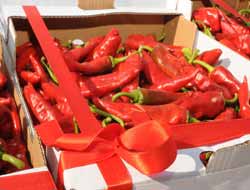 Kırmızıbiber Teşvik Müsabakası