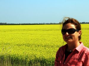 Üreticilere Buğday Yerine Kanola Önerisi