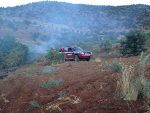 Türkoğlunda Zeytin Bahçesinde Yangın Çıktı