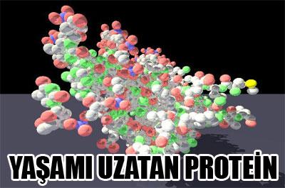 Hayat İksiri Protein