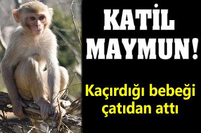 Maymun Kaçırdığı Bebeği Çatıdan Attı!