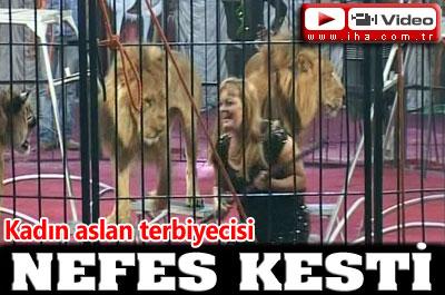 Arap Dünyasının İlk Kadın Aslan Terbiyecisi Mısırda