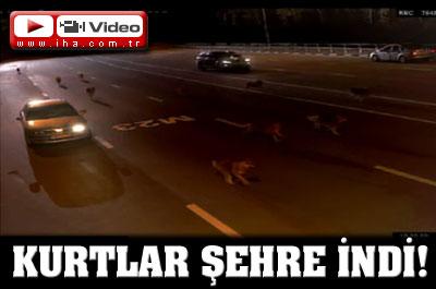 Şehrin Göbeğinde Dehşet