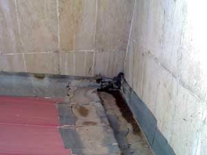 Nfk Kültür Merkezi’nde Tadilat Çalışması