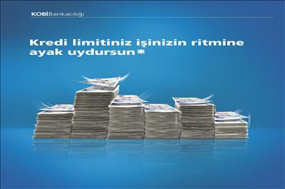 Kredi Limitlerini Kobiler Belirleyecek