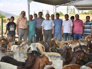 TÜBİTAK Destekli Keçi Yetiştiriciliği Projesi