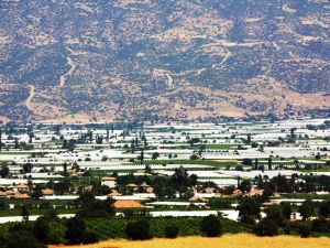 Sarıgöl Ovası Beyaz Örtüyle Kaplandı