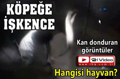 Kan Donduran Görüntüler