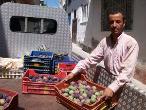 İncir Çiftçinin Yüzünü Güldürdü