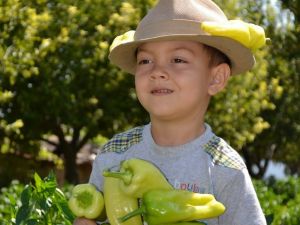 Türkiye’nin 3. Tescilli Biberi Olan Kale Biberinde Üreticiler Pazar Arayışlarını Sürdürüyor