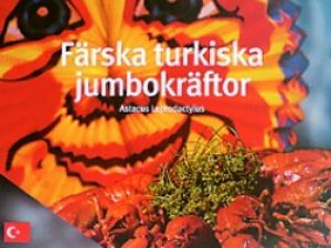 İsveçte Türk Kerevitine Büyük İlgi