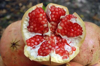 Damar Tıkanıklarının İlacı Nar