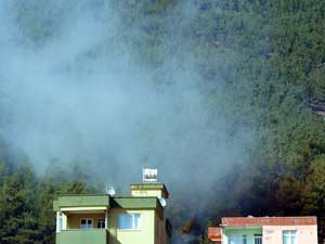 Küçük Çaplı Orman Yangını