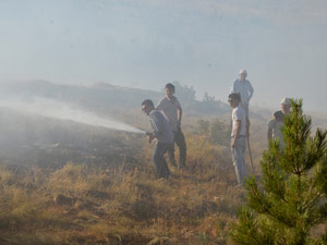 13 Hektar Orman Tahrip Oldu!