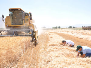İtfaiye Personeli Rahat Bir Nefes Aldı