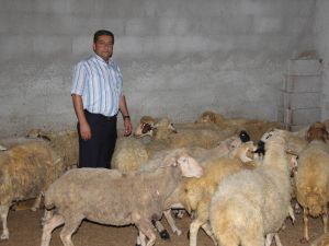 Kurbanlıklar Cep Yakacak