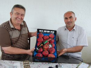 Meyvede Sıkıntı Pazarlamada