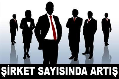 Şirket Sayısında Artış