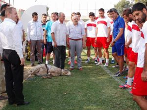 Denizli Belediyespor Kurban Kesti