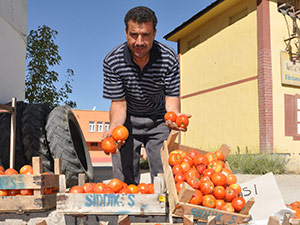 Domates Çiftçinin Yüzünü Güldürdü