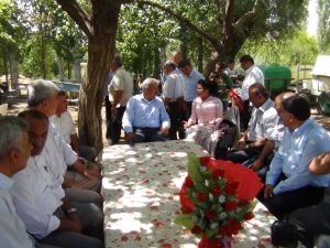 Ak Parti Malatya Milletvekili Şahin: