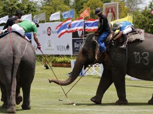2012 Fil Polo Turnuvası Tayland’da Başladı