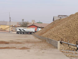 Pancar Kampanyası Sona Erdi   