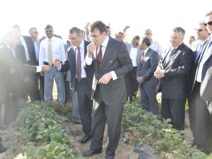 Bakan Cevdet Yılmazın Konya Ziyareti