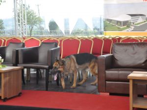 Bakan Ekerden Terör Değerlendirmesi