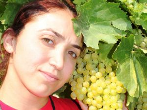 Mhp’li Akçay, Üzüm Üreticilerinin Sözcüsü Oldu