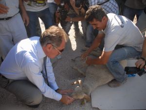 Bakan Günayın Denizli Ziyareti