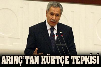 Arınçtan BDPlilere Tepki