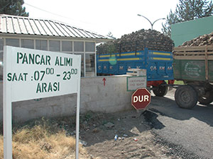 Şeker Fabrikasında Kuyruk Çilesi Sona Erdi 