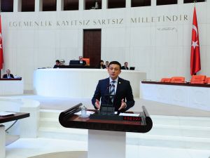 Ak Parti İzmir Milletvekili Hamza Dağ: