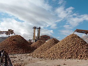 12 Günde 4 Bin 375 Ton Şeker Üretildi