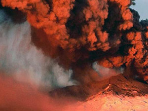 Yüksekovalılar 2 Pkklıyı Yerden Topladı