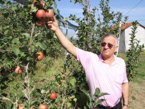 ‘iyi Tarım’ Ve İyi Sonuç