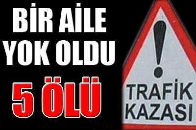 Kaza, bir aileyi yok etti