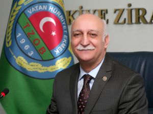 Eylül Ayında Tarımda İhracat Yüzde 10,99 Arttı